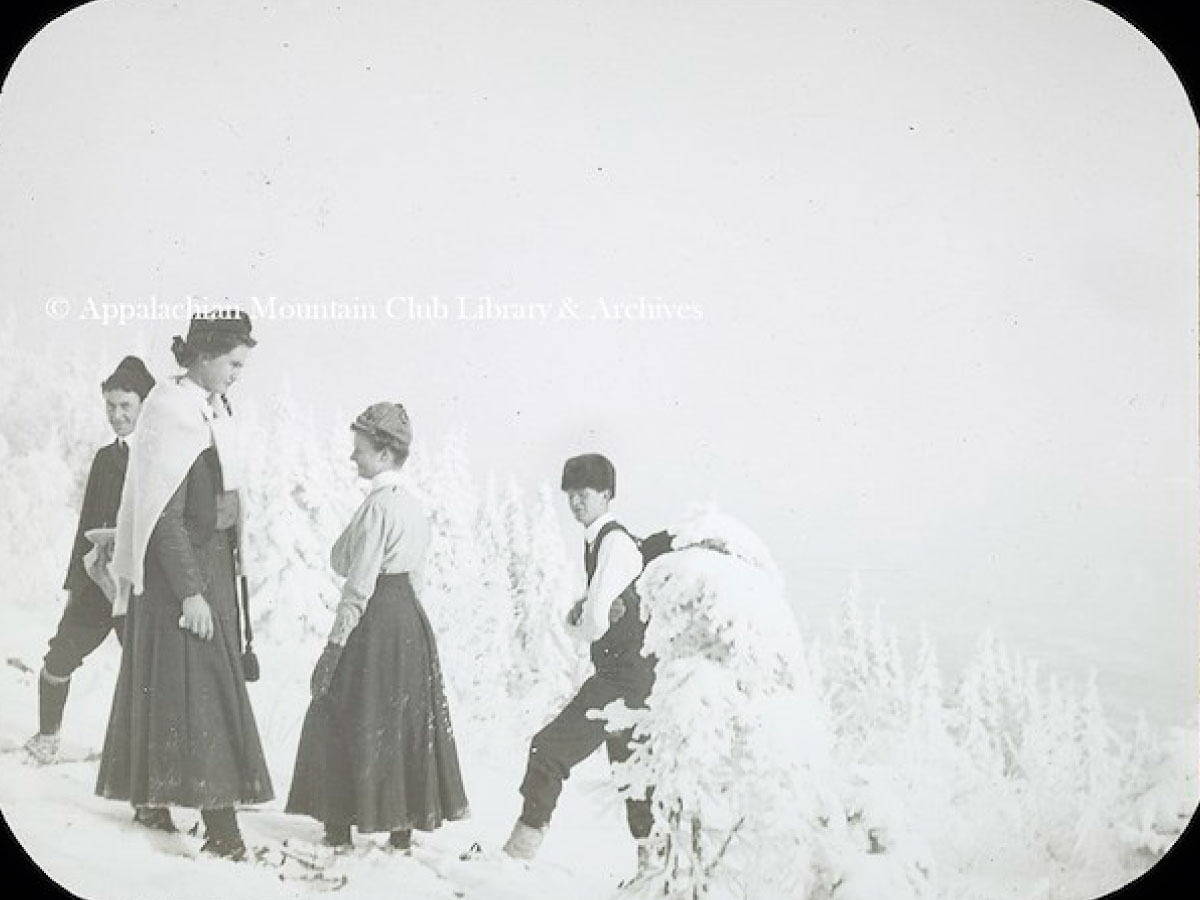 Two men and two women snowshoeing