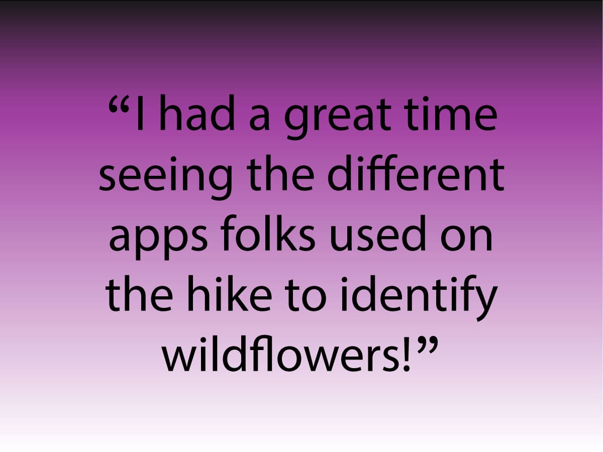 Quote: seeing the different apps folks use