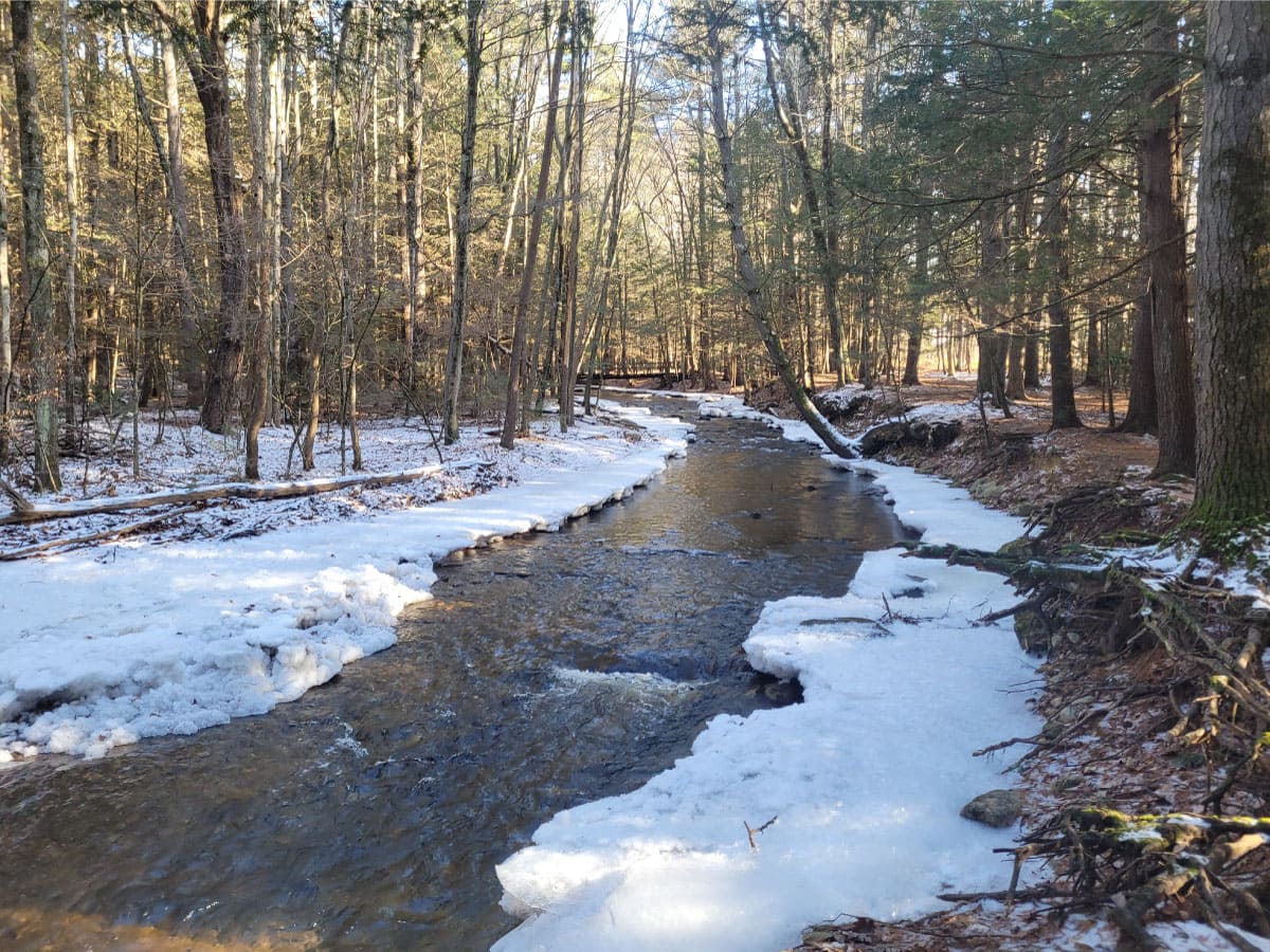 Amethyst Brook