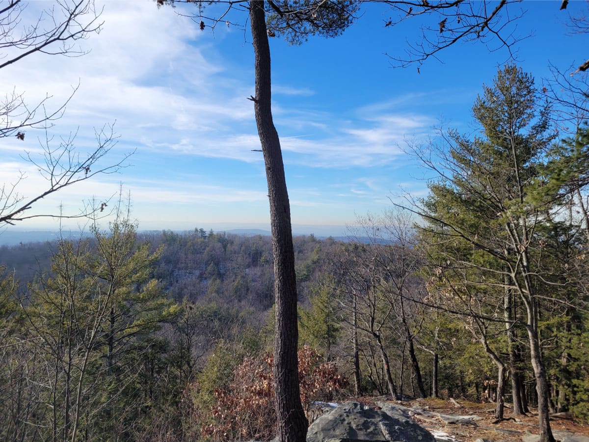 View from Mount Orient