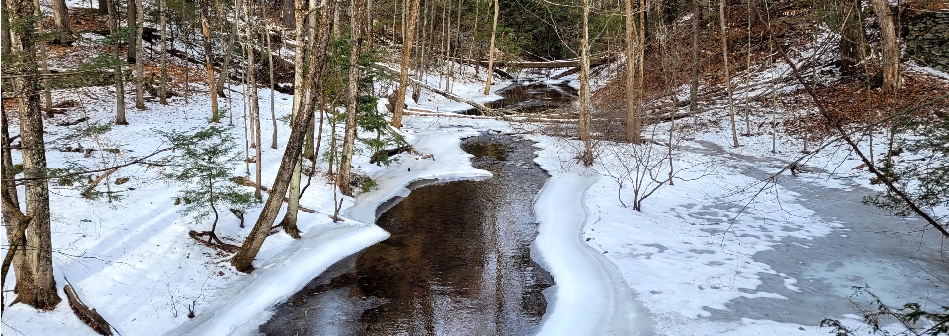 Creek in winter