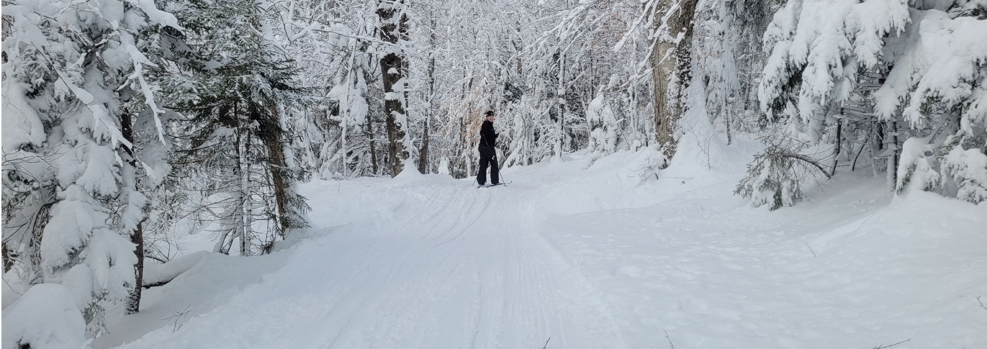 Nordic skiing at Notchview