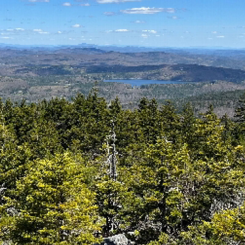 View from Mt Alander