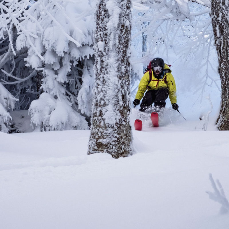 Backcountry skier