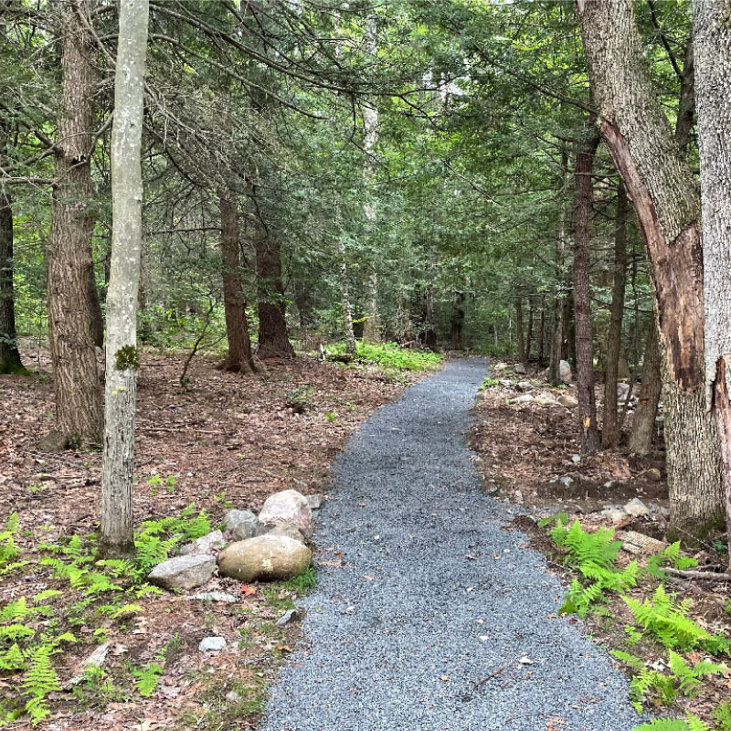 Gravel path in the woods