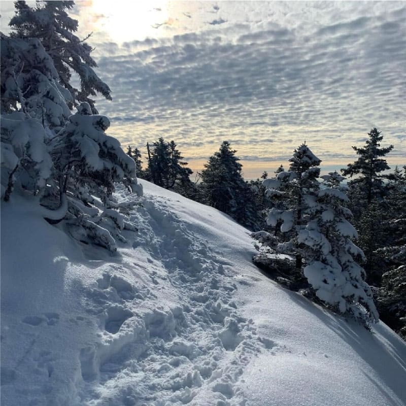 Hiking trail in winter