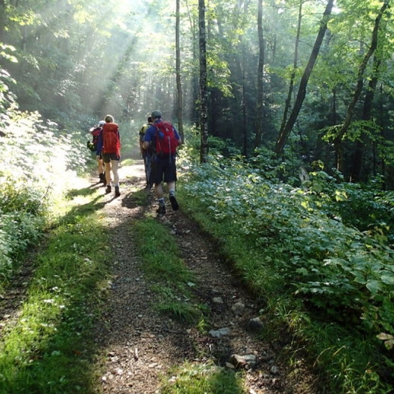 Hikers on a sunlit path
