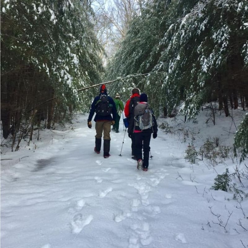 Hikers in winter