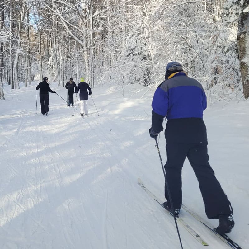 Cross-country skiers