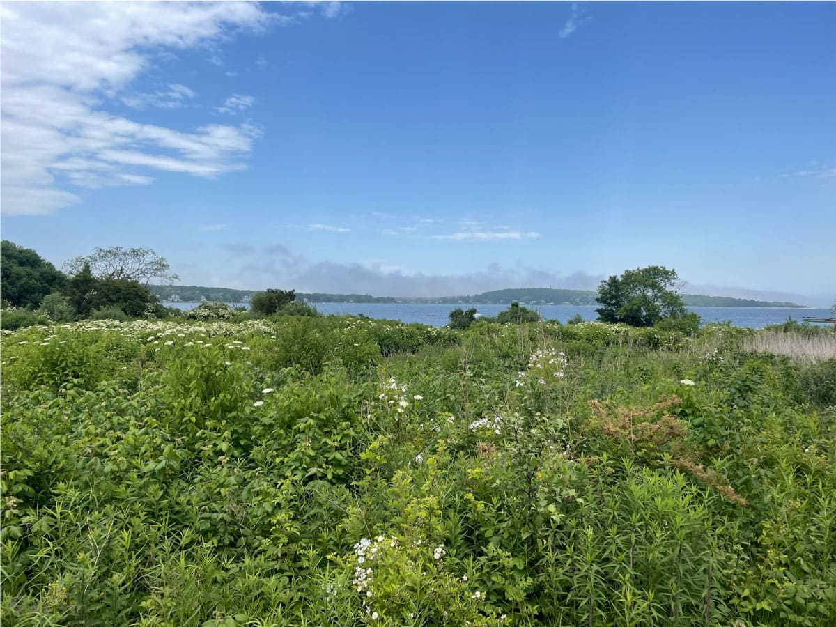 View of Kingston Bay, MA