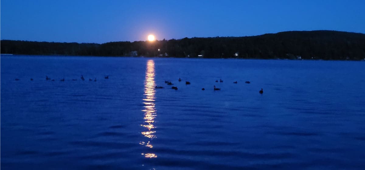Moon over a lake
