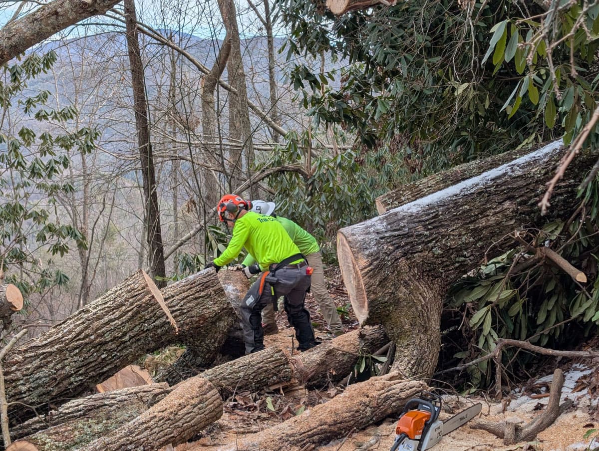 Trail crew clearing blowdowns on the A.T.