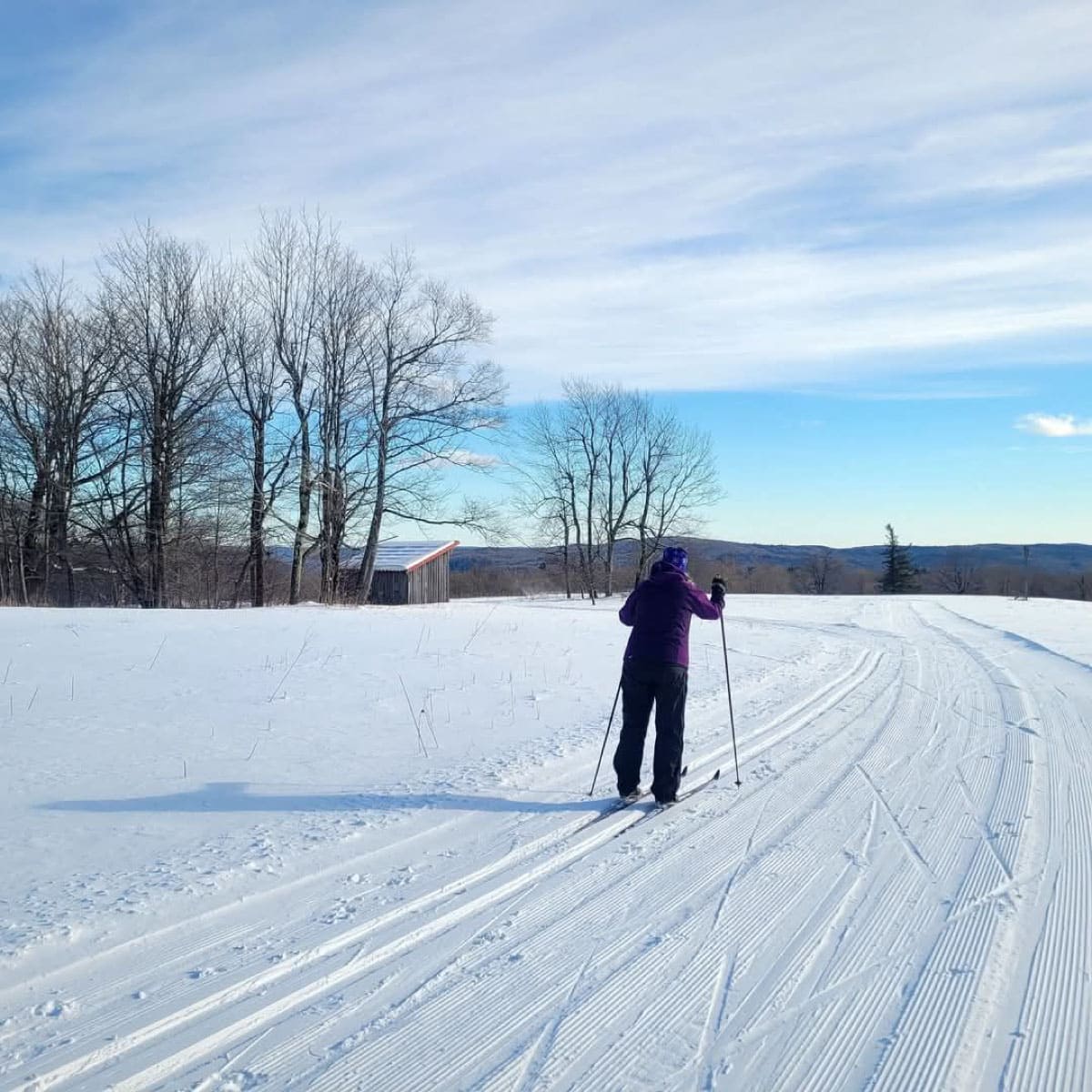 Cross-country skier