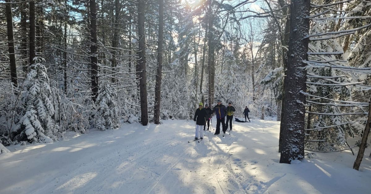 Cross-country skiers