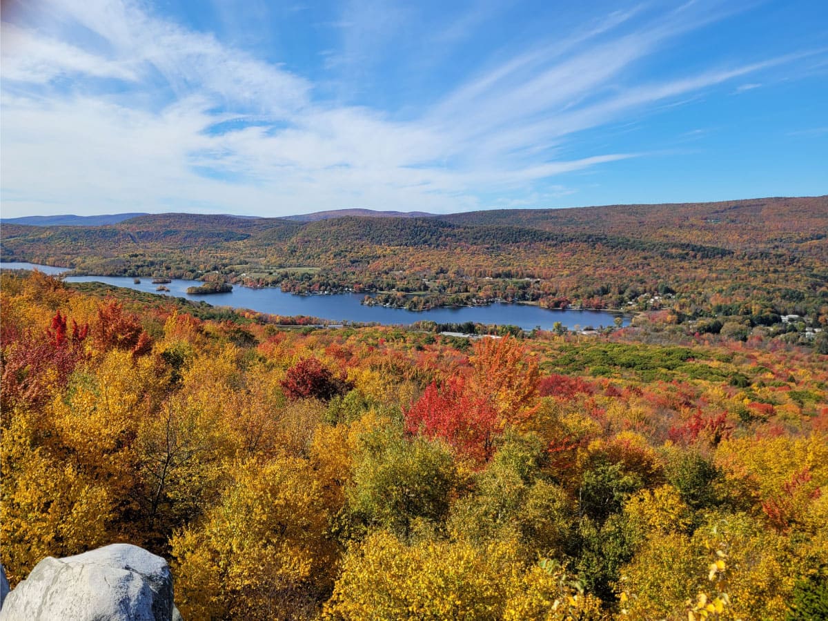 Fall vista