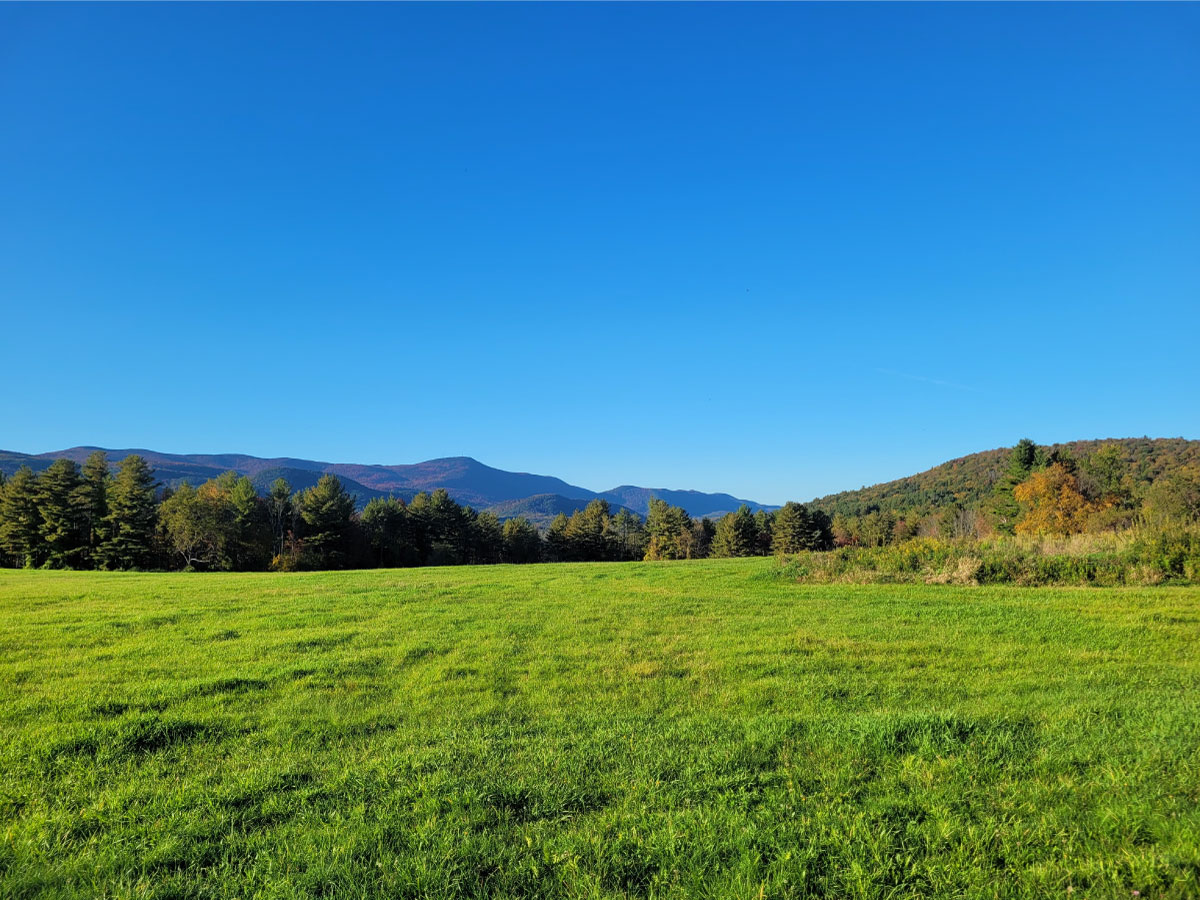 Mountain view from a green pasture