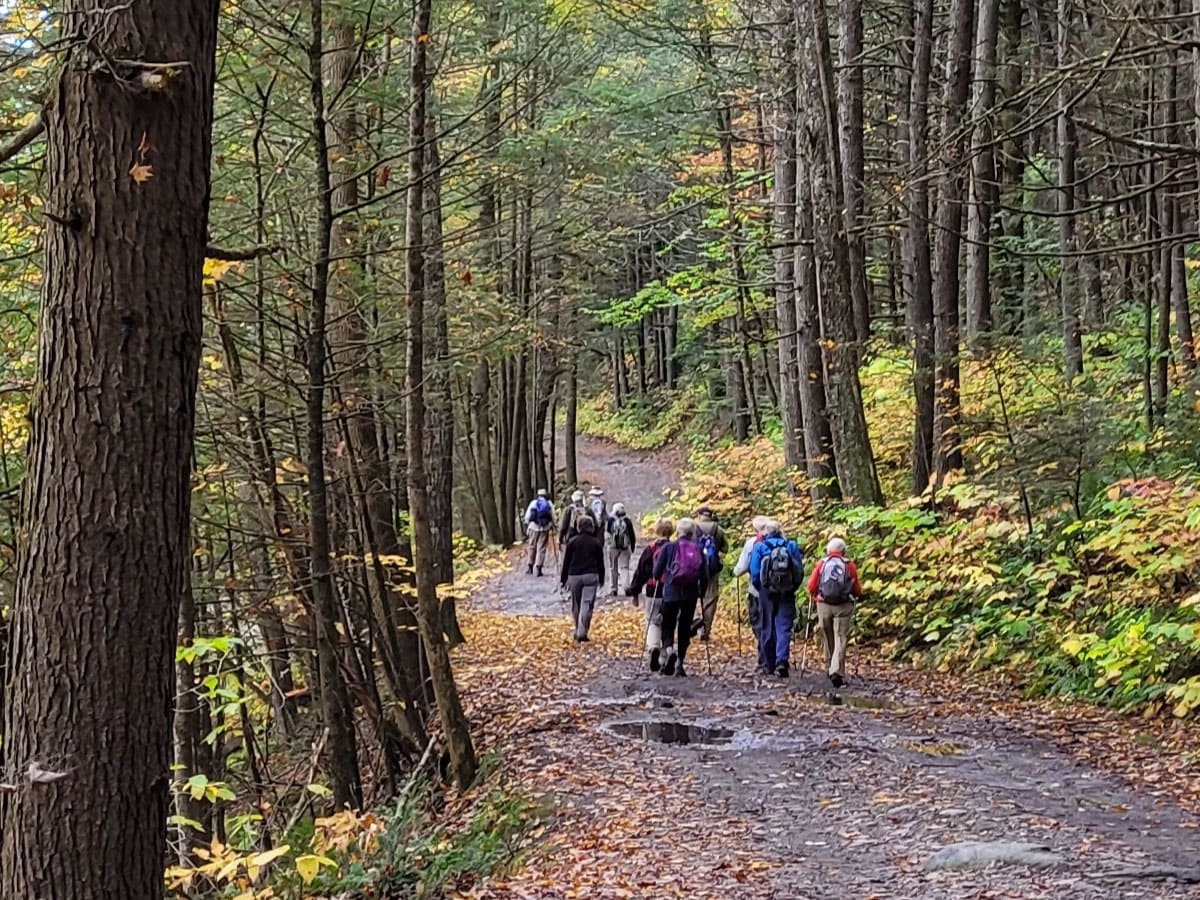 Hikers in Chesterfield Gorge
