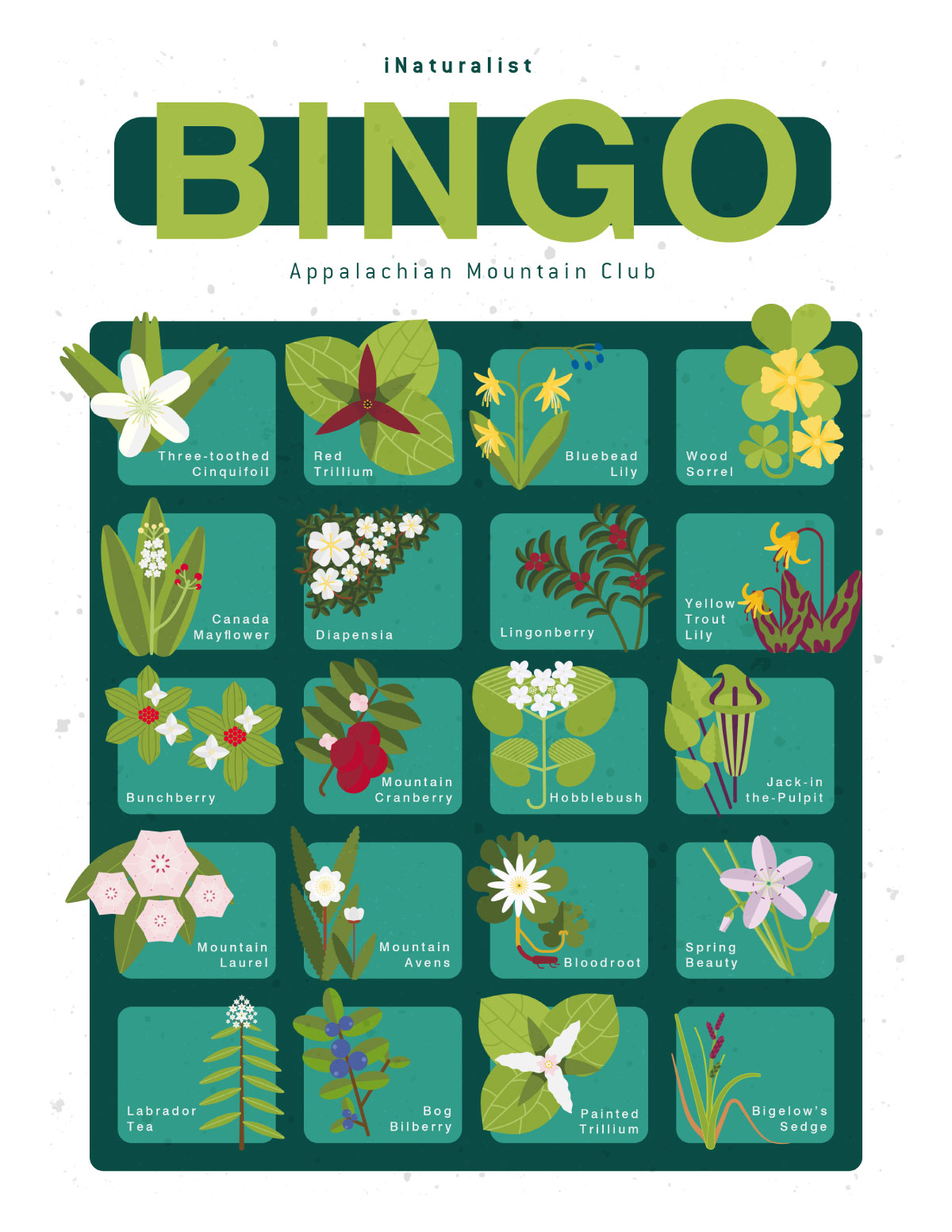 iNaturalist bingo card