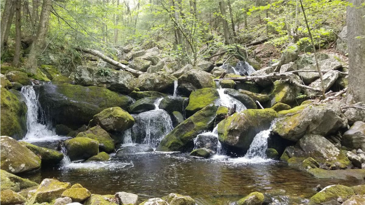 Mountain stream