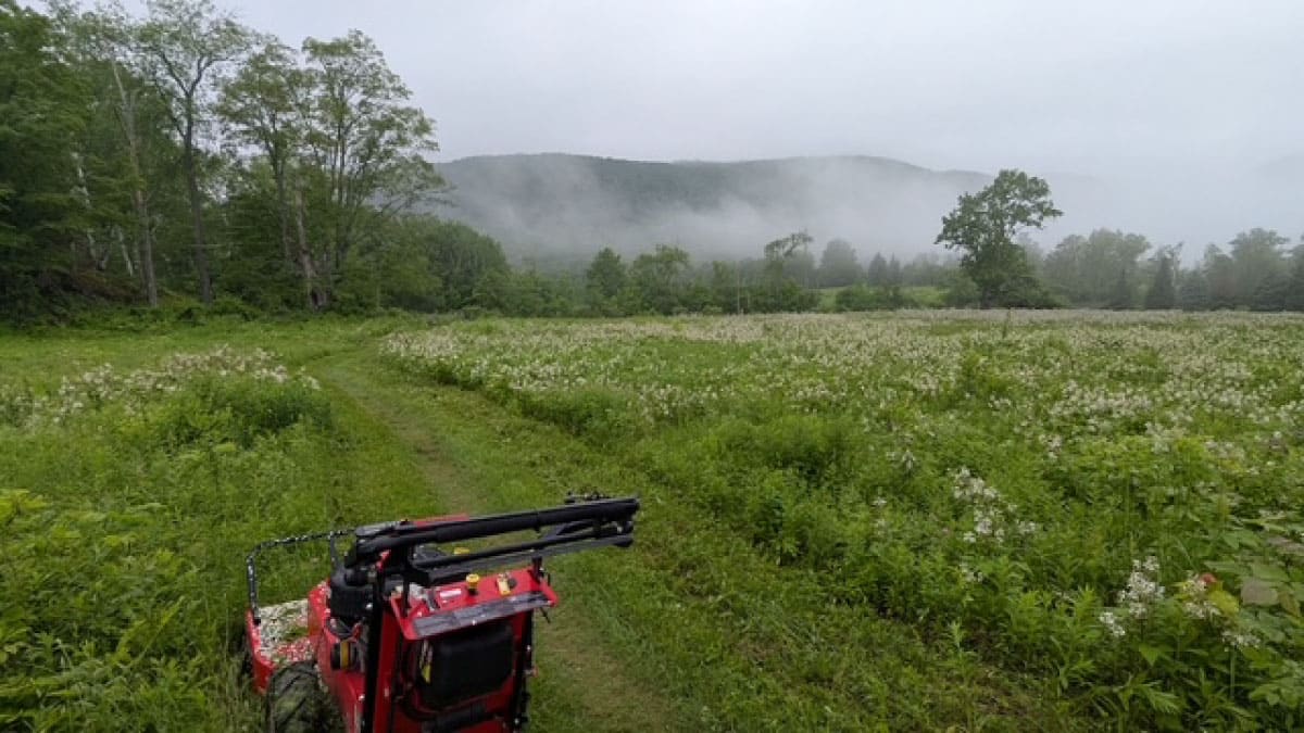 Field