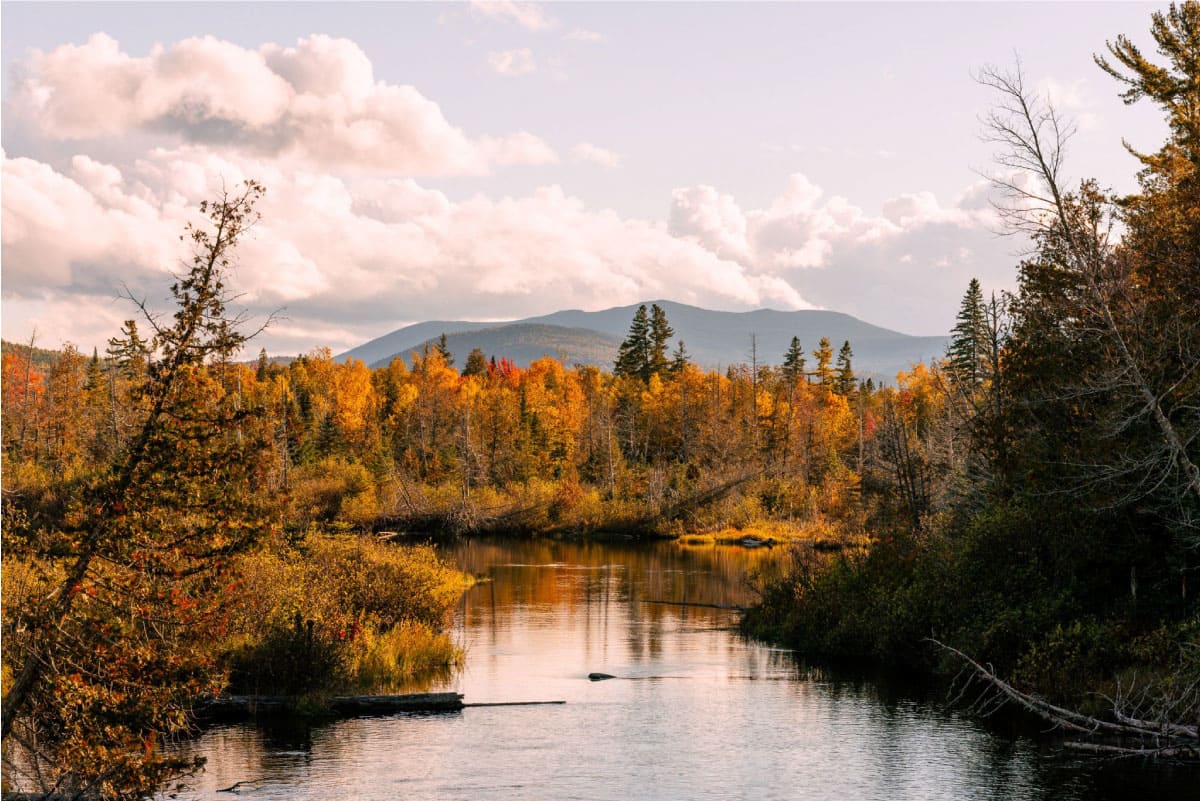 A quiet stream