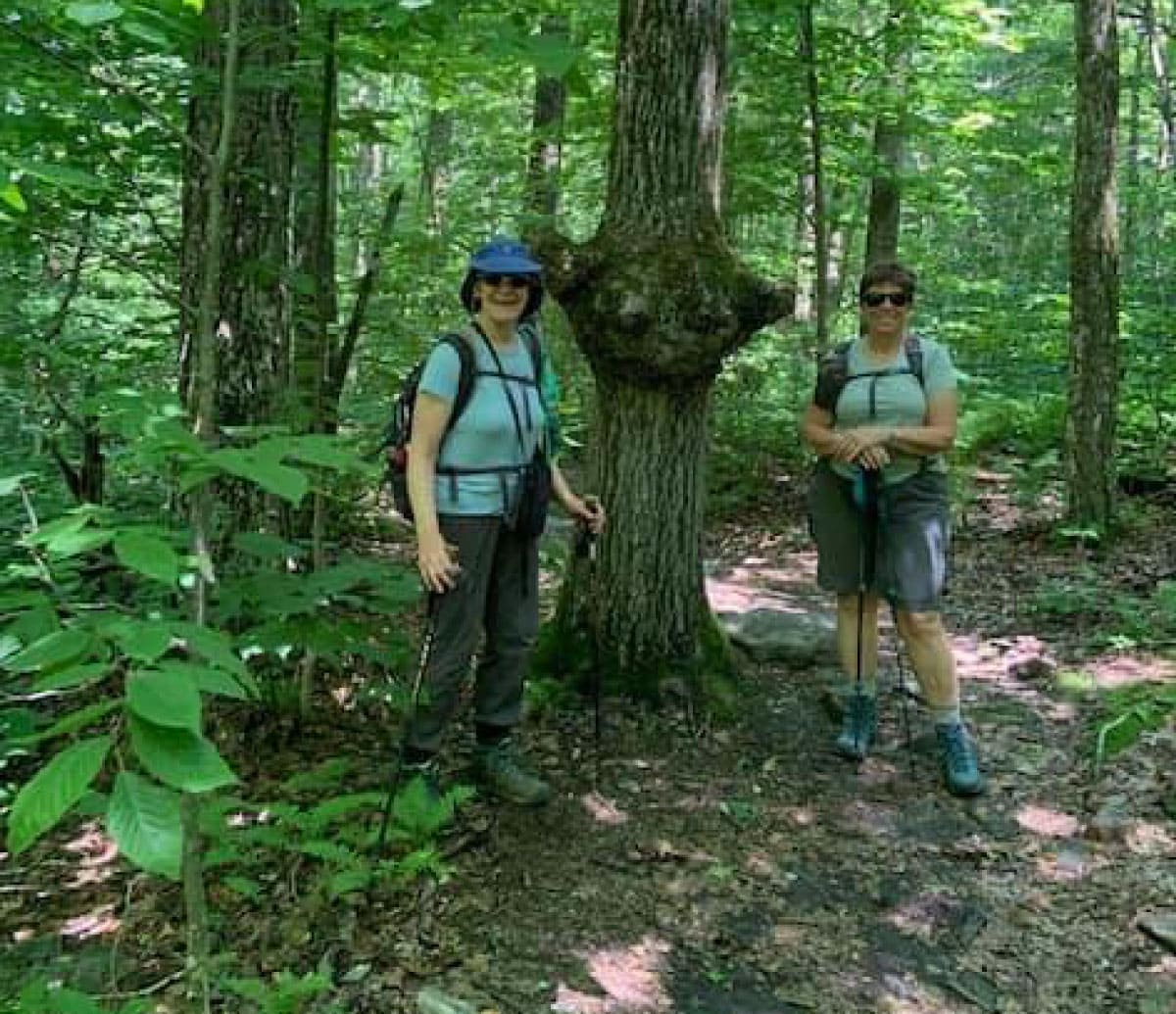 Two hikers standing by the Yoda tree