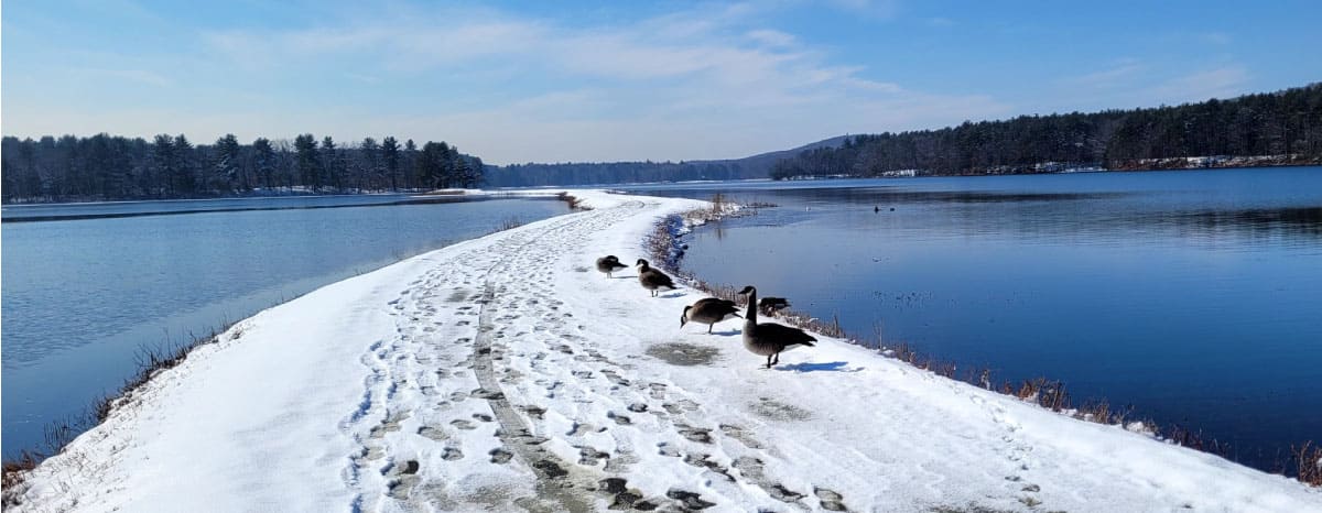 Winter trail along a lake