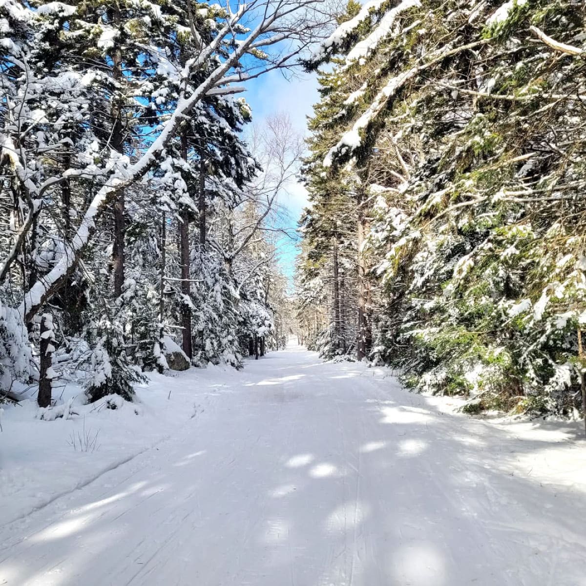 Winter trail