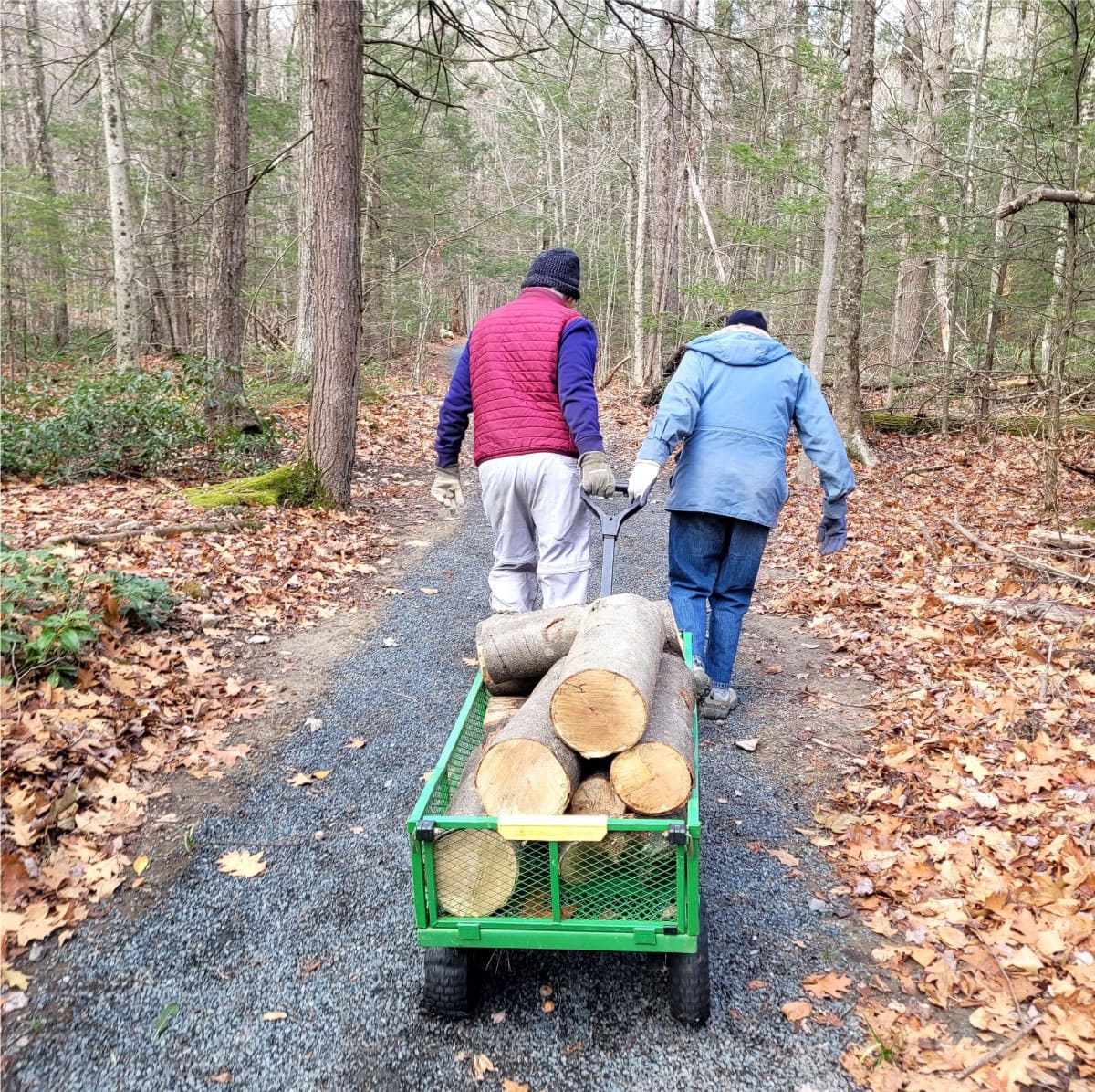 Volunteers haul wood at Noble View