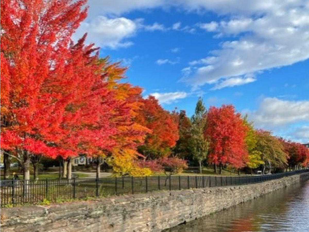 Fall color along the Holyoke Canal