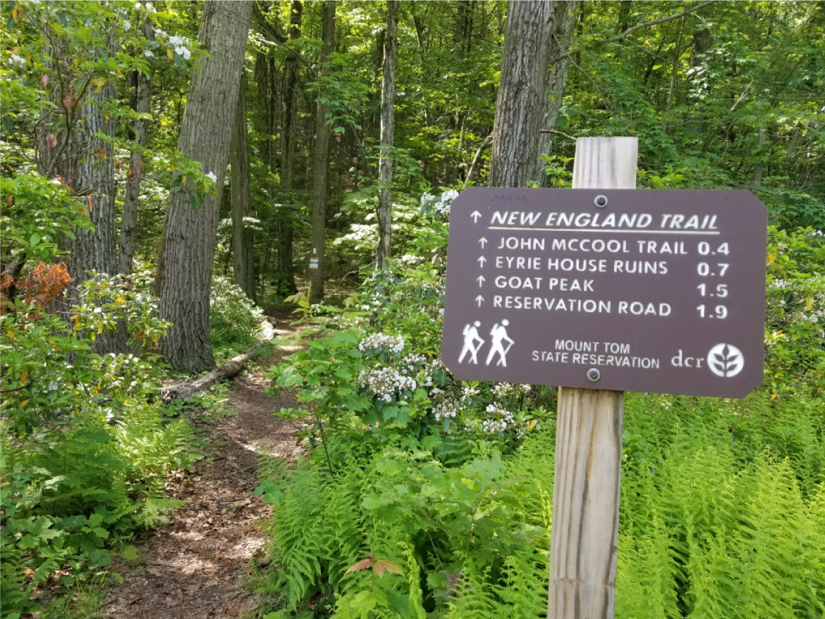 NET trail sign and path
