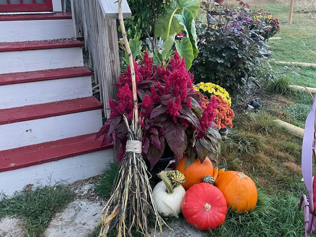 Pumpkins