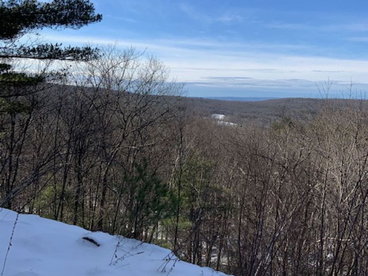 View from Wendell State Forest