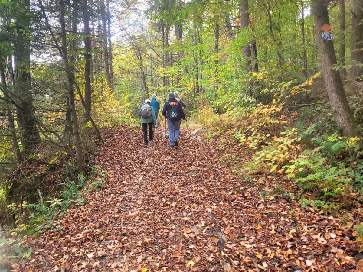Hikers on the Chesterfield Gorge Trail