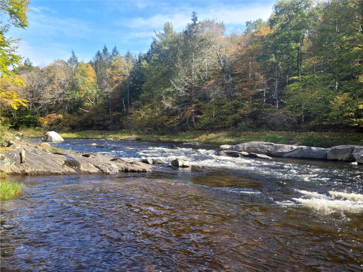 View of the Westfield River