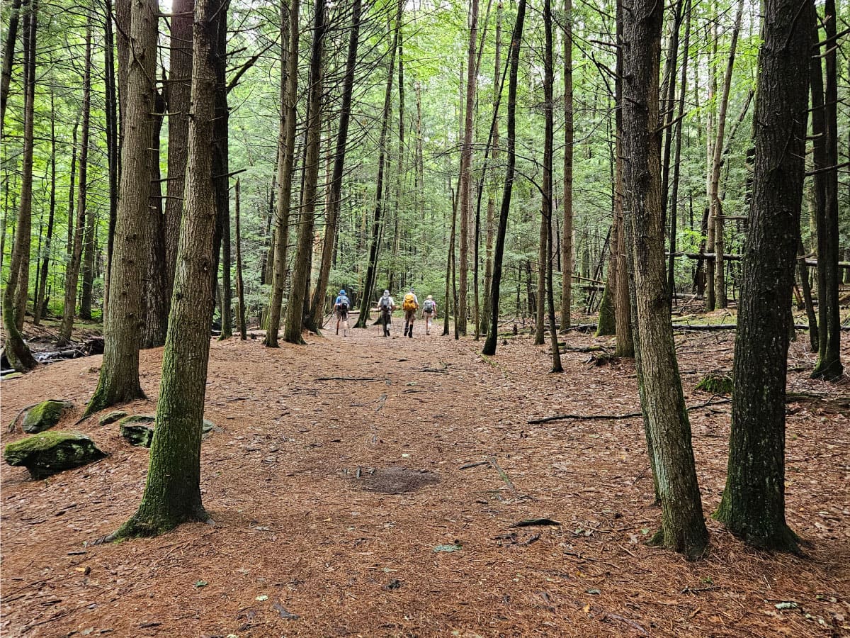 Hikers