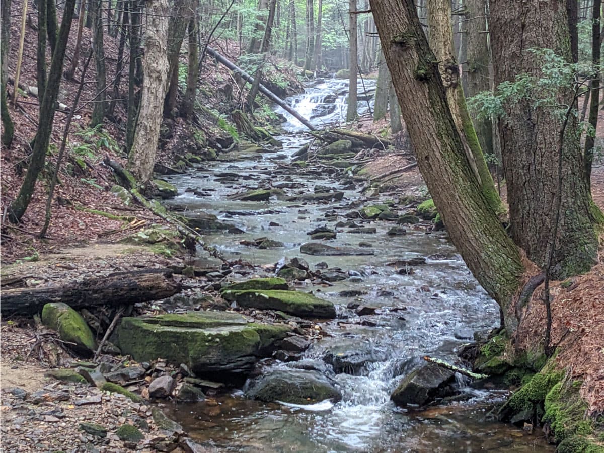 Amethyst Brook