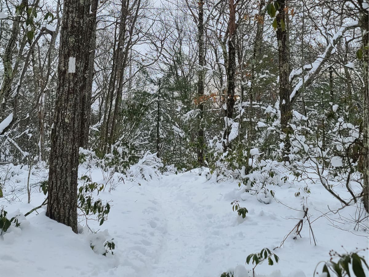 Snowy trail