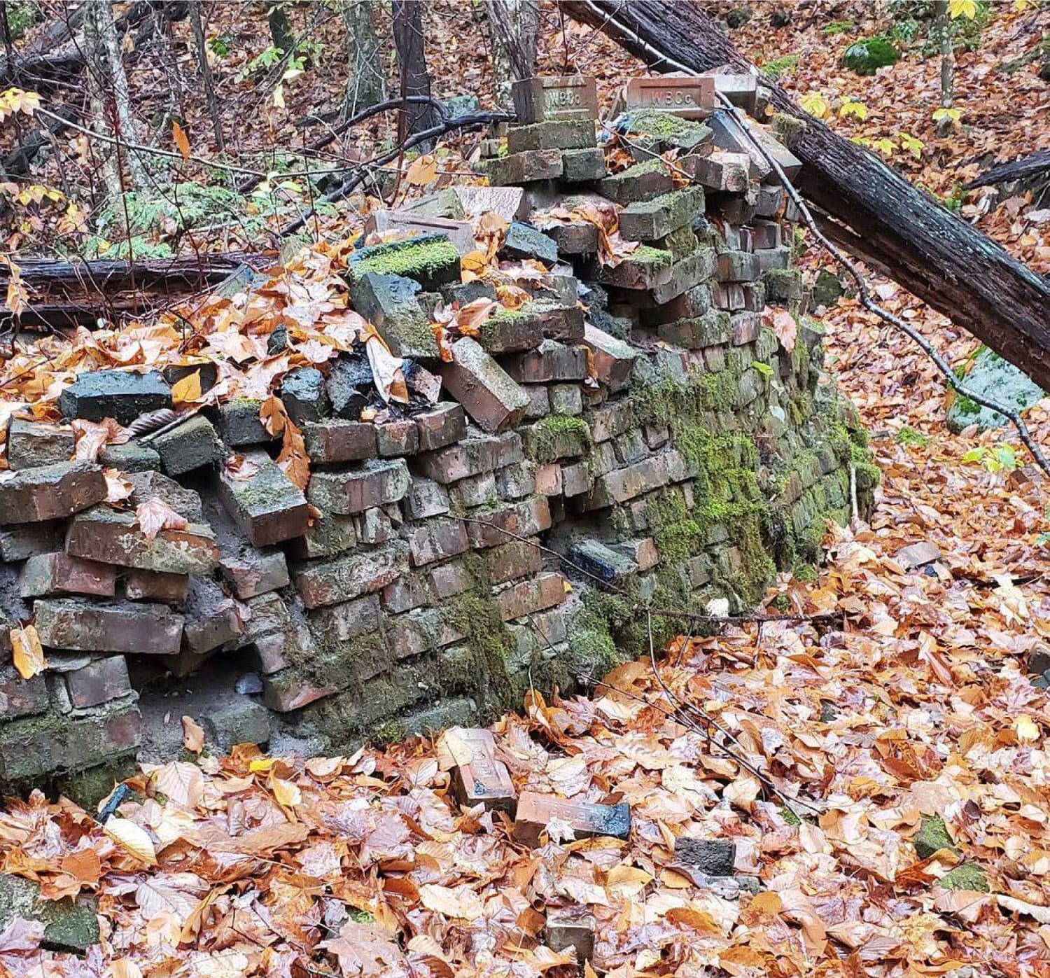 Remnants of a beehive charcoal kiln