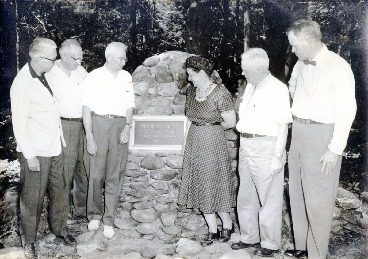Dedication of the forest