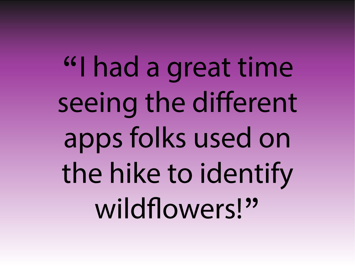 Quote: seeing the different apps folks use